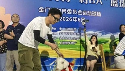 九游娱乐官方网站-沪郊亭林镇“村BA”赛开打 冠军奖励一头羊|企业职工|返乡|集市|糖人|活动_新浪新闻